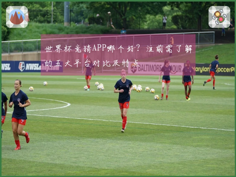 世界杯竞猜APP哪个好？注前需了解的五大平台对比及特点