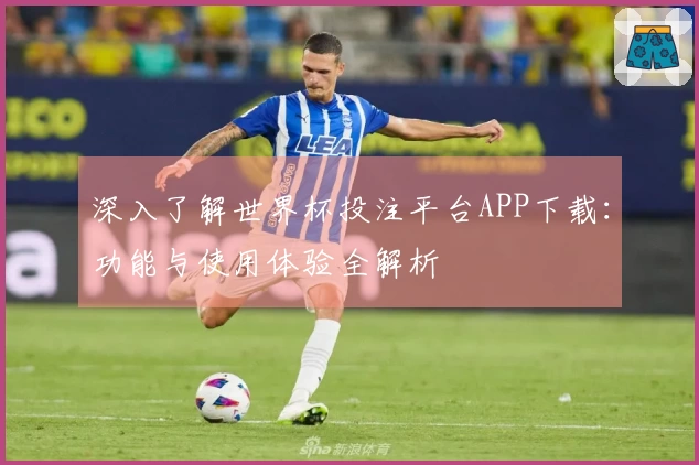 深入了解世界杯投注平台APP下载：功能与使用体验全解析