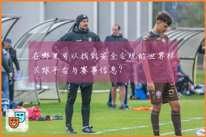 在哪里可以找到安全合规的世界杯买球平台与赛事信息？