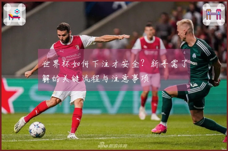世界杯如何下注才安全？新手需了解的关键流程与注意事项