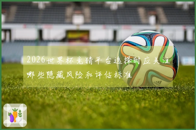 2026世界杯竞猜平台选择时应关注哪些隐藏风险和评估标准