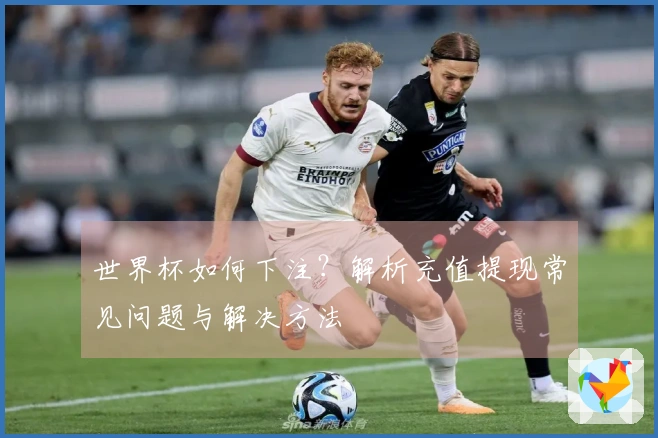 世界杯如何下注？解析充值提现常见问题与解决方法