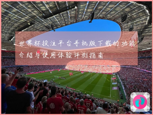 世界杯投注平台手机版下载的功能介绍与使用体验评测指南