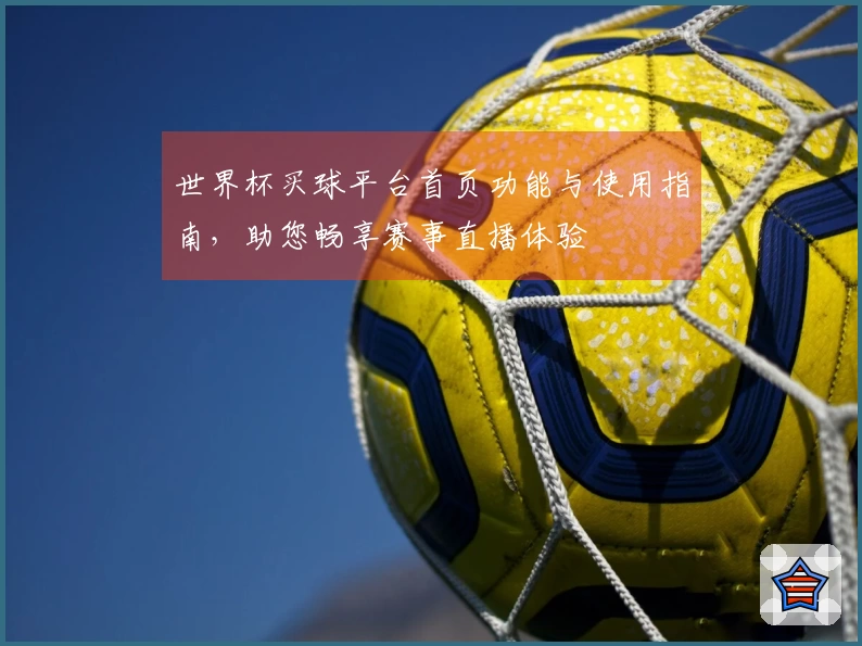 世界杯买球平台首页功能与使用指南，助您畅享赛事直播体验