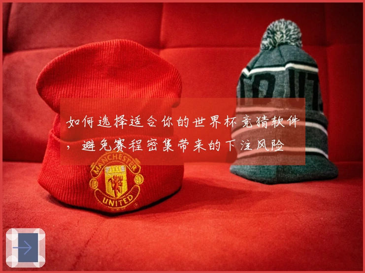 如何选择适合你的世界杯竞猜软件，避免赛程密集带来的下注风险