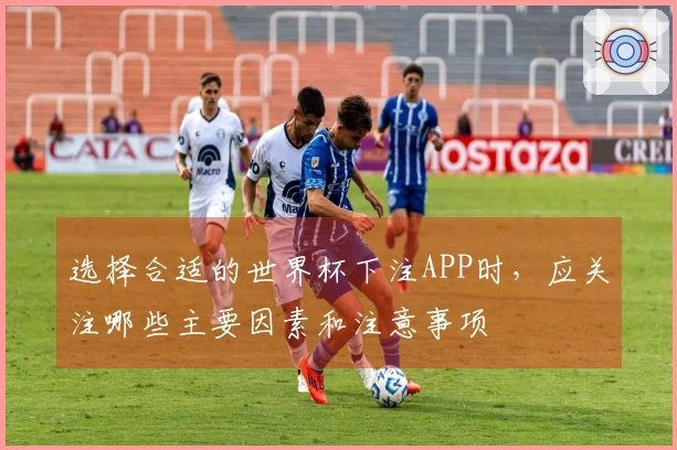 选择合适的世界杯下注APP时，应关注哪些主要因素和注意事项