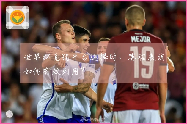 世界杯竞猜平台选择时，赛程表该如何有效利用？