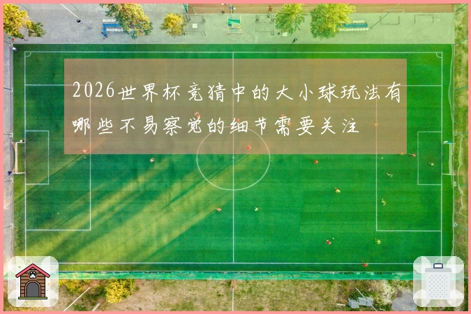 2026世界杯竞猜中的大小球玩法有哪些不易察觉的细节需要关注