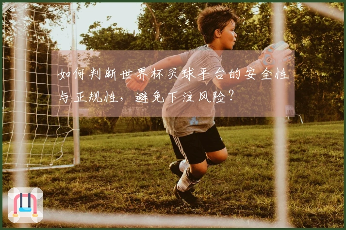 如何判断世界杯买球平台的安全性与正规性，避免下注风险？
