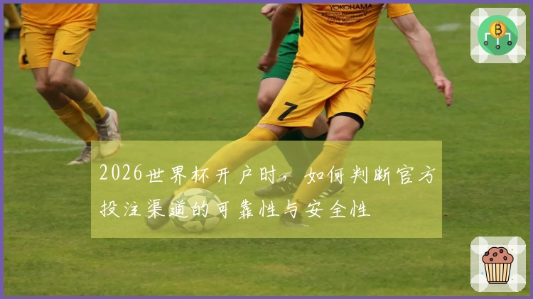 2026世界杯开户时，如何判断官方投注渠道的可靠性与安全性