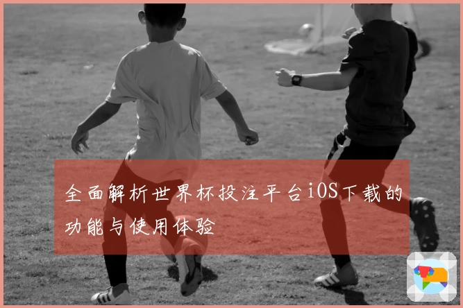 全面解析世界杯投注平台iOS下载的功能与使用体验