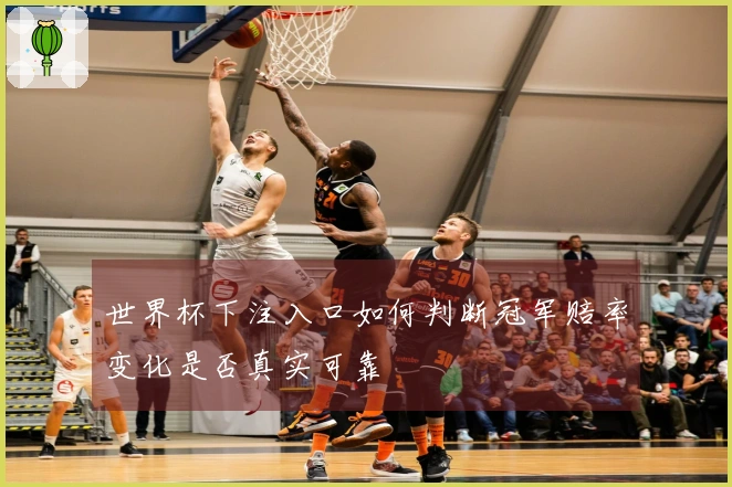 世界杯下注入口如何判断冠军赔率变化是否真实可靠