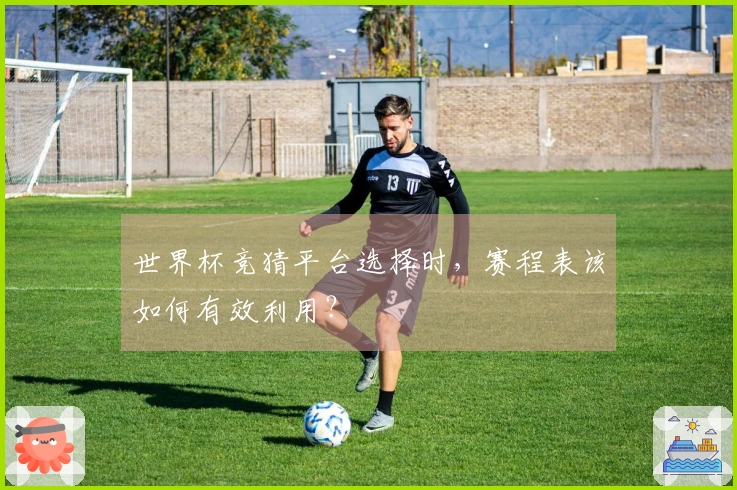 世界杯竞猜平台选择时，赛程表该如何有效利用？