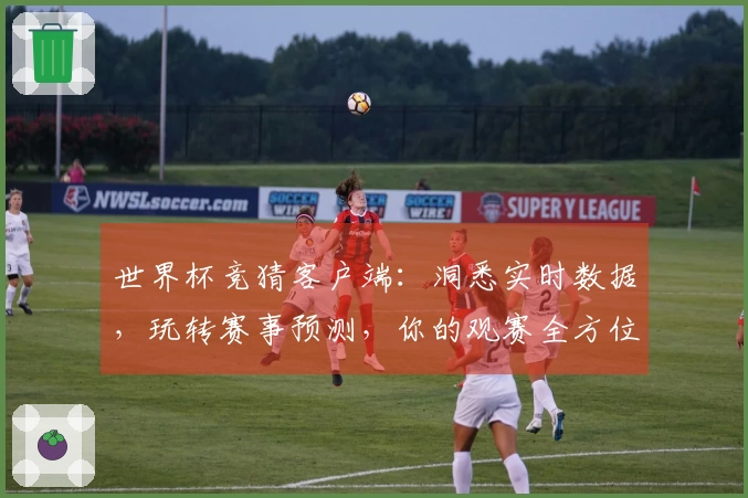 世界杯竞猜客户端：洞悉实时数据，玩转赛事预测，你的观赛全方位体验升级
