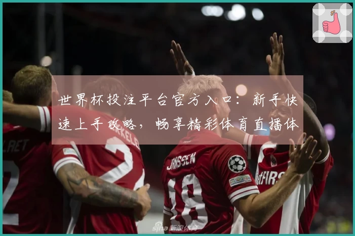 世界杯投注平台官方入口：新手快速上手攻略，畅享精彩体育直播体验
