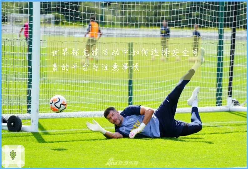 世界杯竞猜活动中如何选择安全可靠的平台与注意事项