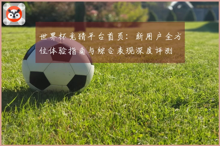 世界杯竞猜平台首页：新用户全方位体验指南与综合表现深度评测