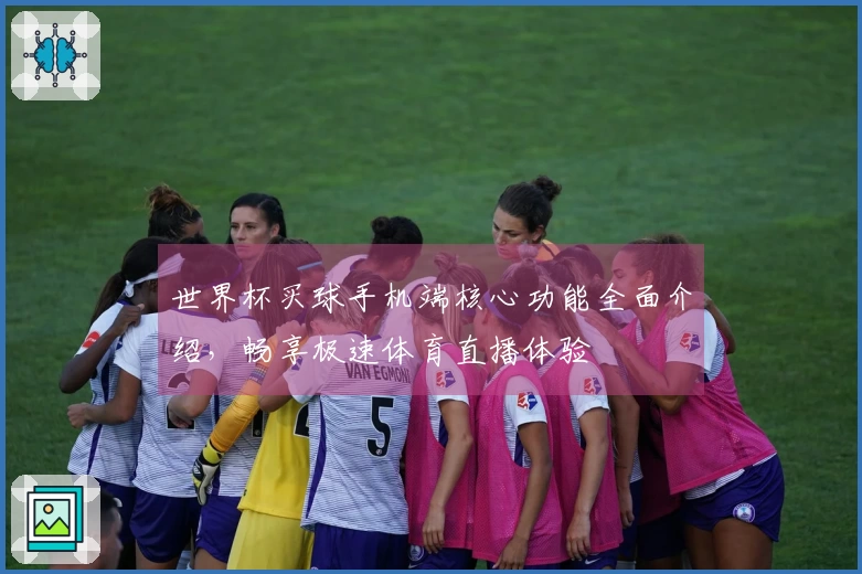 世界杯买球手机端核心功能全面介绍，畅享极速体育直播体验