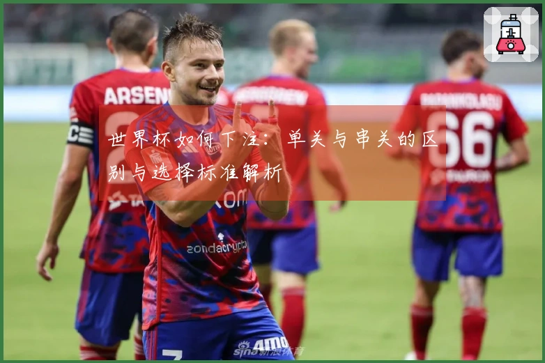 世界杯如何下注：单关与串关的区别与选择标准解析
