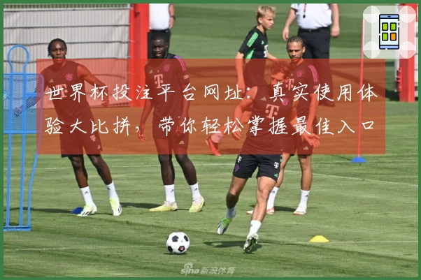 世界杯投注平台网址：真实使用体验大比拼，带你轻松掌握最佳入口与功能