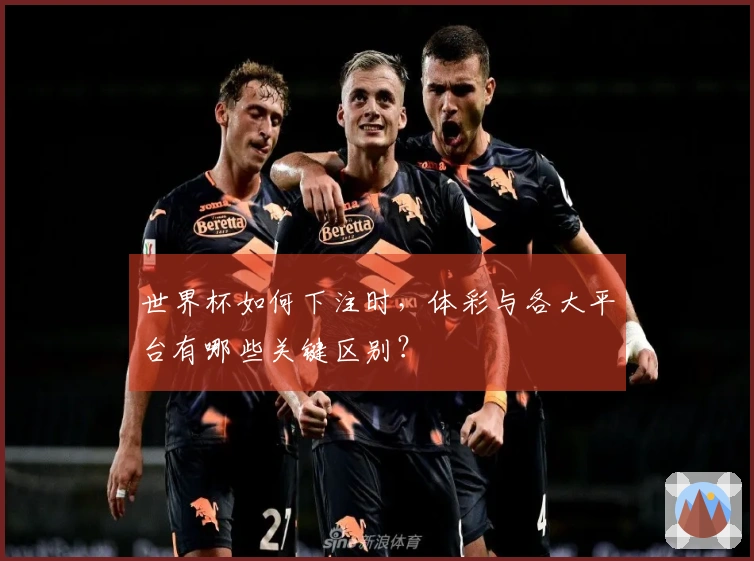 世界杯如何下注时，体彩与各大平台有哪些关键区别？
