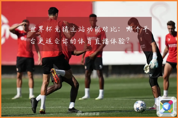 世界杯竞猜主站功能对比：哪个平台更适合你的体育直播体验？
