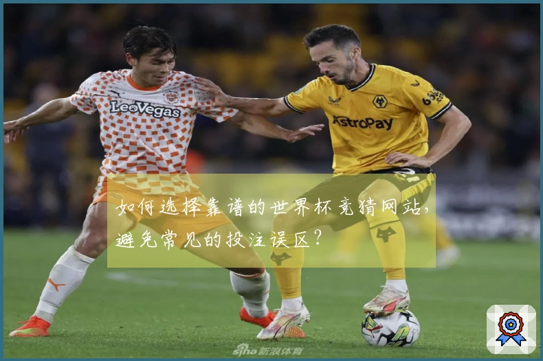 如何选择靠谱的世界杯竞猜网站，避免常见的投注误区？
