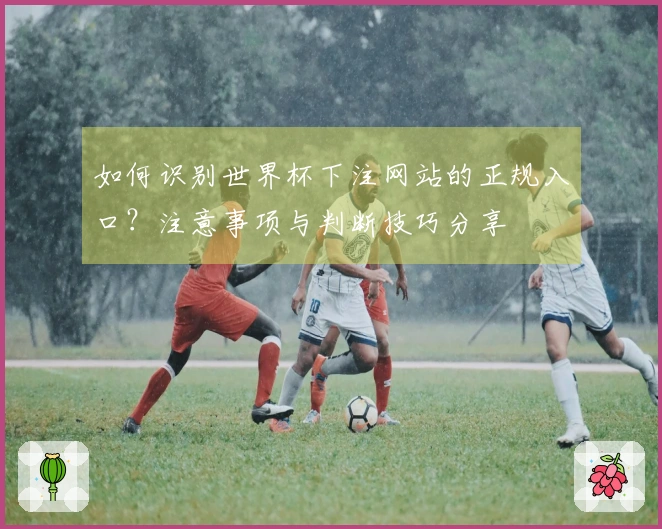 如何识别世界杯下注网站的正规入口？注意事项与判断技巧分享