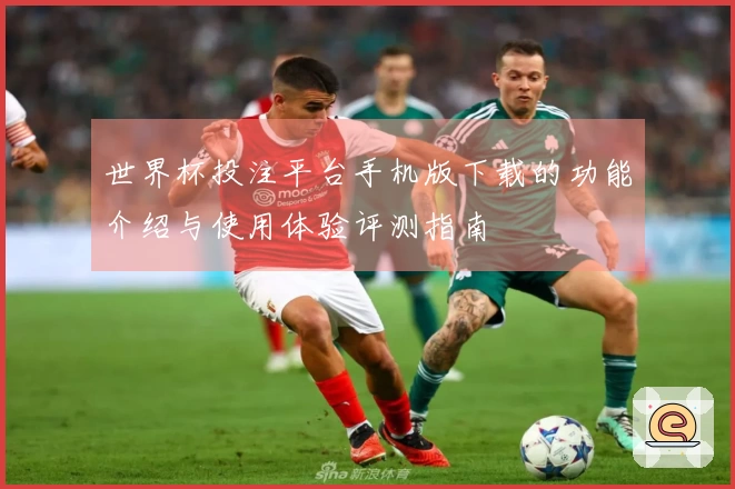 世界杯投注平台手机版下载的功能介绍与使用体验评测指南