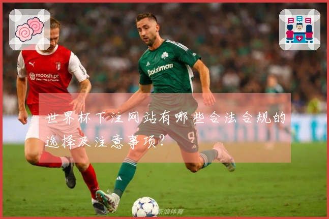 世界杯下注网站有哪些合法合规的选择及注意事项？