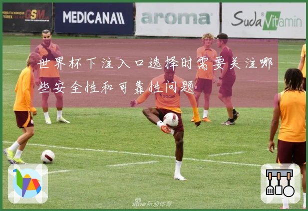世界杯下注入口选择时需要关注哪些安全性和可靠性问题